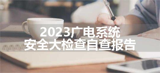 2023广电系统安全大检查自查报告