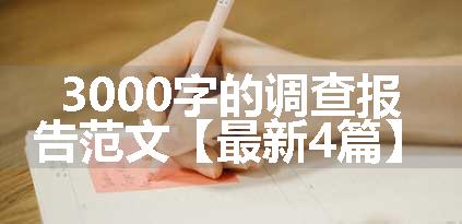 3000字的调查报告范文【最新4篇】