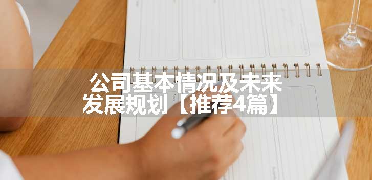 公司基本情况及未来发展规划【推荐4篇】