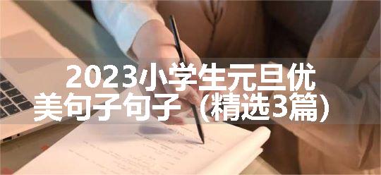 2023小学生元旦优美句子句子（精选3篇）