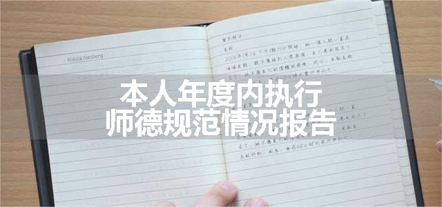 本人年度内执行师德规范情况报告