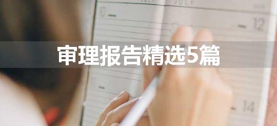 审理报告精选5篇