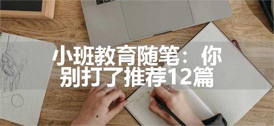 小班教育随笔：你别打了推荐12篇