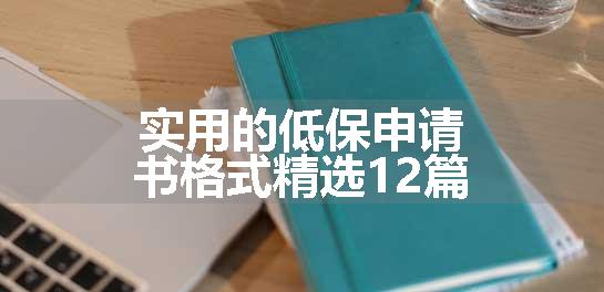 实用的低保申请书格式精选12篇