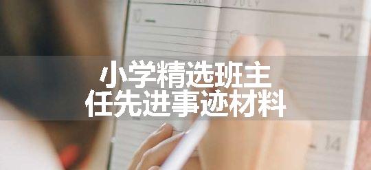 小学精选班主任先进事迹材料