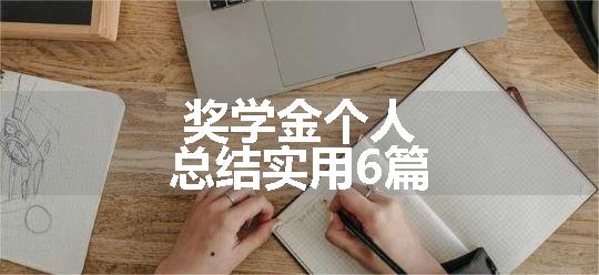 奖学金个人总结实用6篇