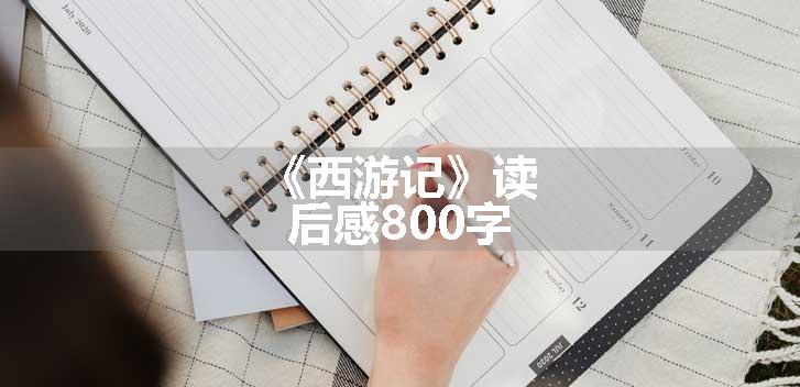 《西游记》读后感800字