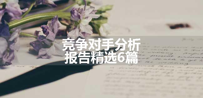 竞争对手分析报告精选6篇