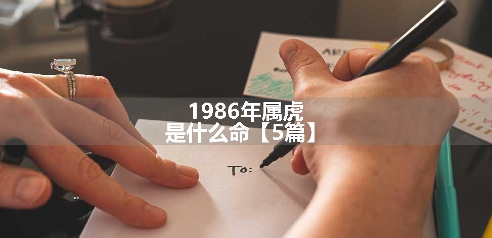 1986年属虎是什么命【5篇】