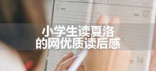 小学生读夏洛的网优质读后感