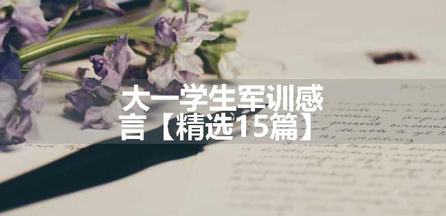 大一学生军训感言【精选15篇】