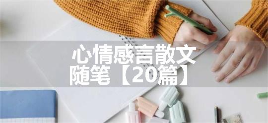 心情感言散文随笔【20篇】