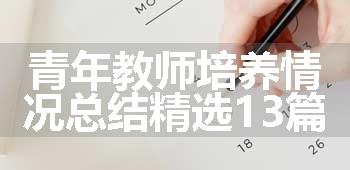 青年教师培养情况总结精选13篇