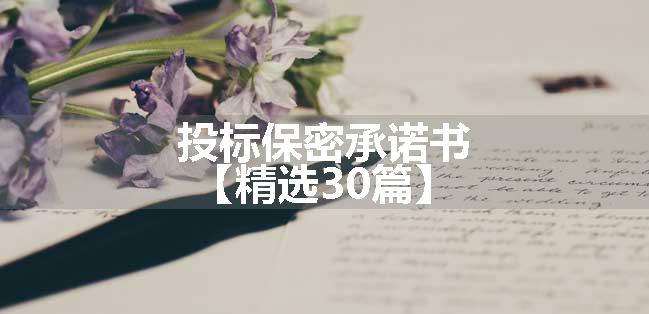 投标保密承诺书【精选30篇】