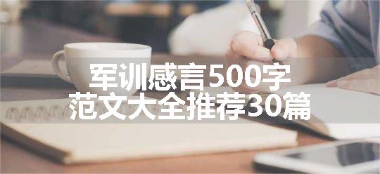 军训感言500字范文大全推荐30篇