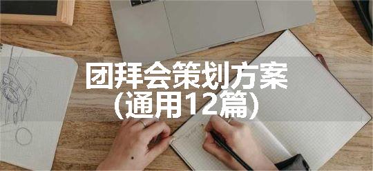 团拜会策划方案（通用12篇）