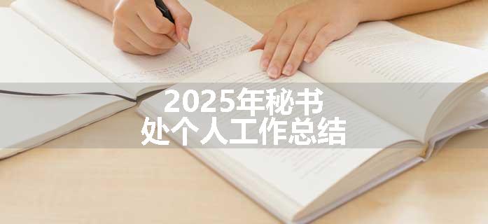 2025年秘书处个人工作总结
