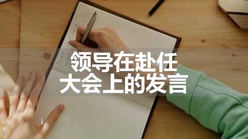 领导在赴任大会上的发言