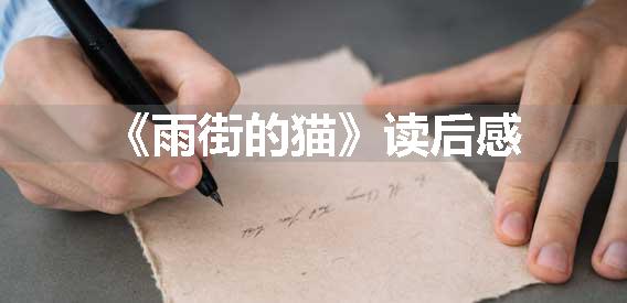 《雨街的猫》读后感