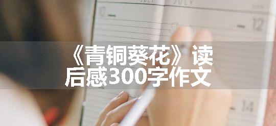 《青铜葵花》读后感300字作文