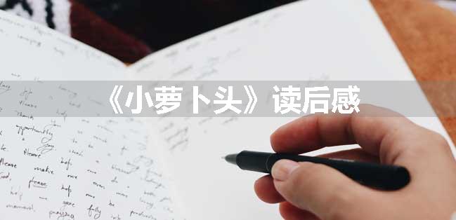 《小萝卜头》读后感