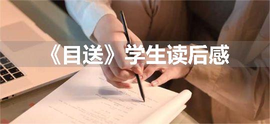 《目送》学生读后感