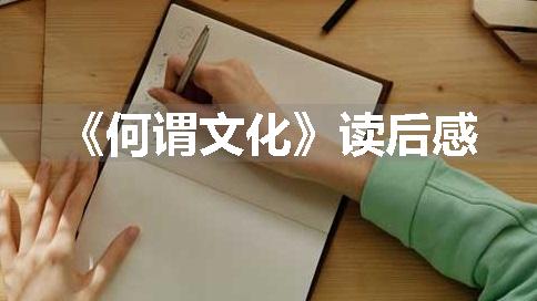 《何谓文化》读后感