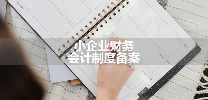 小企业财务会计制度备案