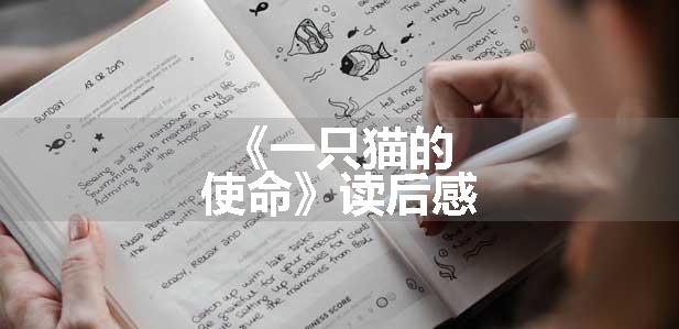 《一只猫的使命》读后感