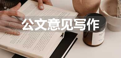 公文意见写作