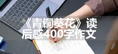 《青铜葵花》读后感400字作文