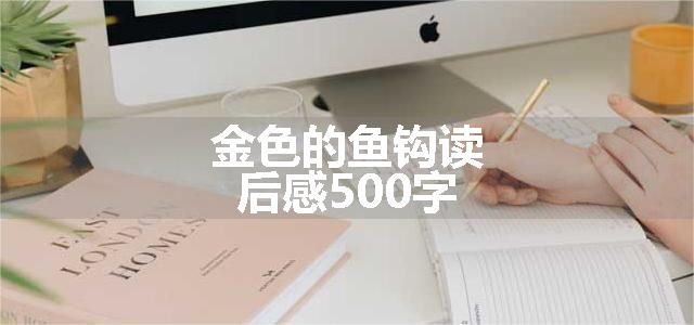 金色的鱼钩读后感500字