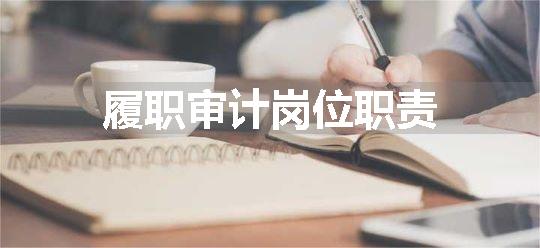 履职审计岗位职责