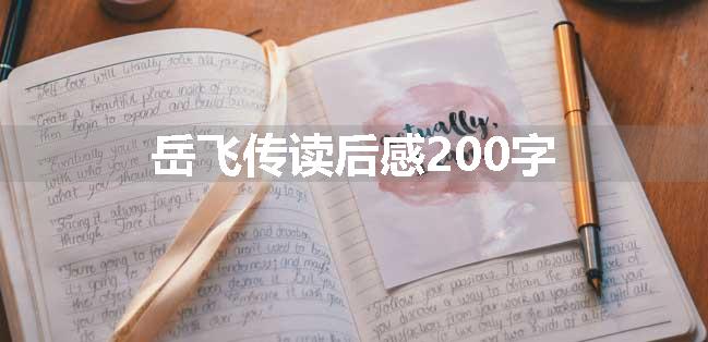 岳飞传读后感200字