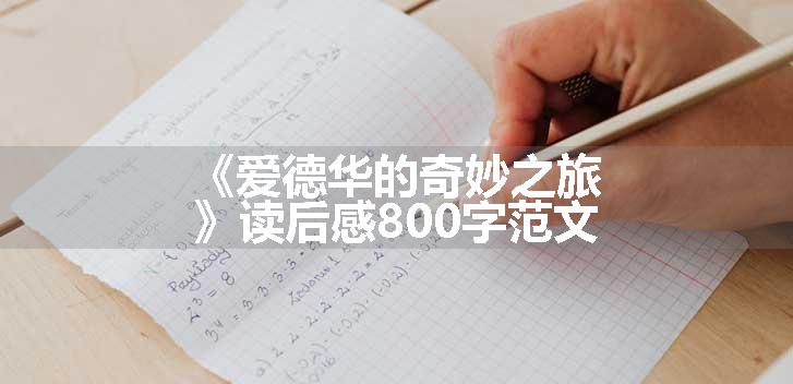 《爱德华的奇妙之旅》读后感800字范文
