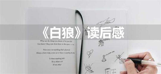 《白狼》读后感