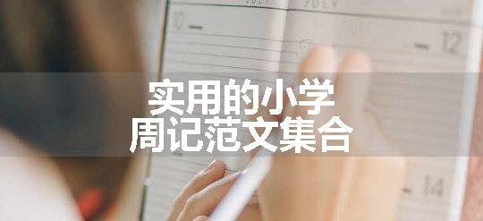 实用的小学周记范文集合