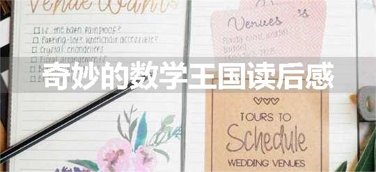 奇妙的数学王国读后感