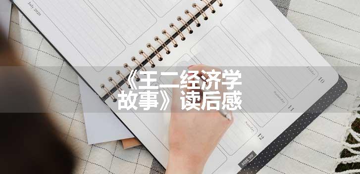 《王二经济学故事》读后感