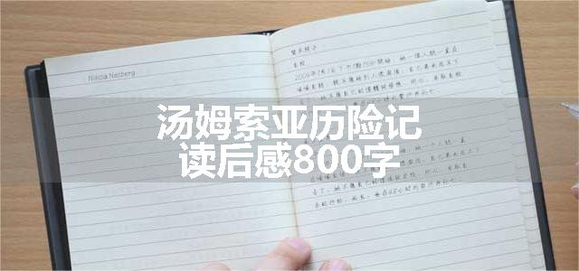 汤姆索亚历险记读后感800字