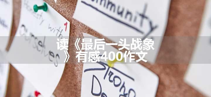读《最后一头战象》有感400作文