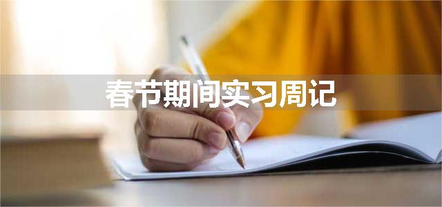 春节期间实习周记