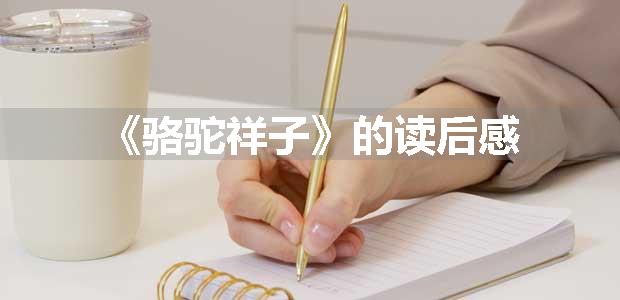 《骆驼祥子》的读后感