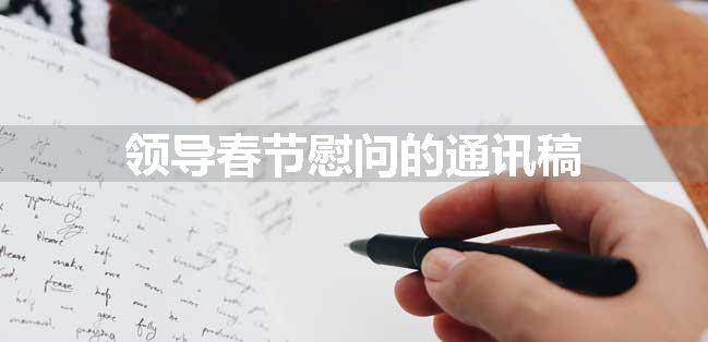 领导春节慰问的通讯稿