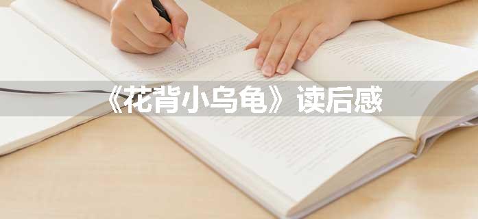 《花背小乌龟》读后感