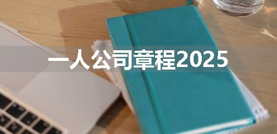 一人公司章程2025