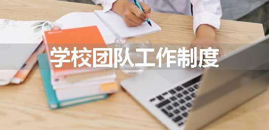 学校团队工作制度