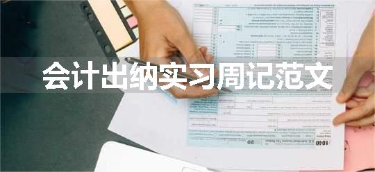 会计出纳实习周记范文