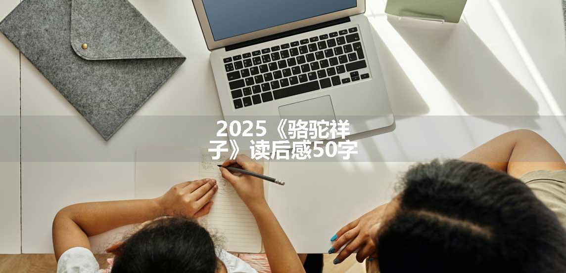 2025《骆驼祥子》读后感50字