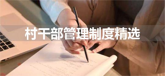 村干部管理制度精选